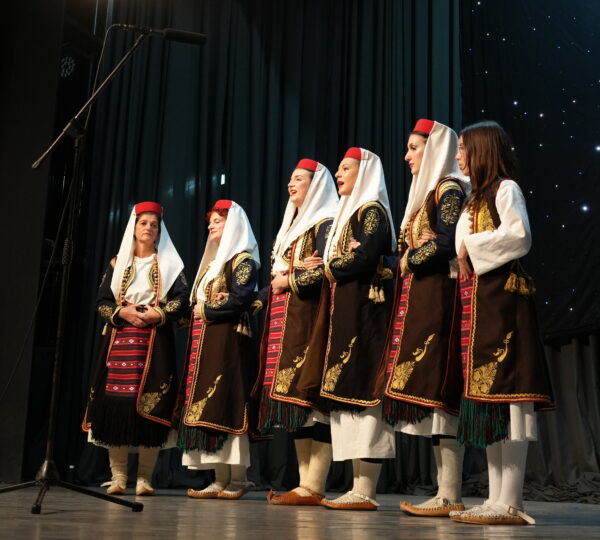 Митровдански сусрети