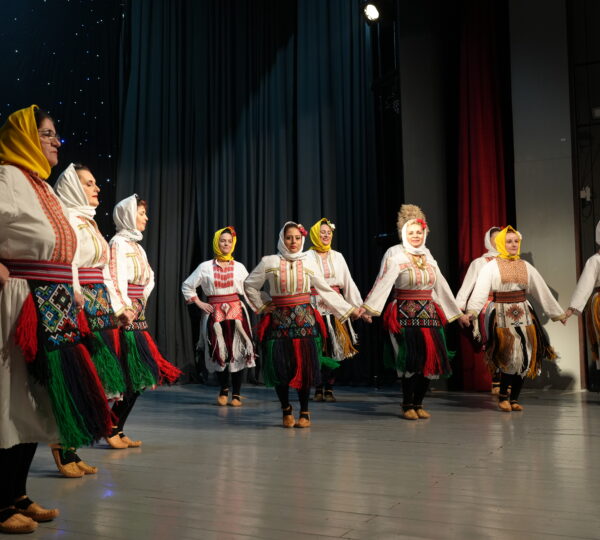 Митровдански сусрети